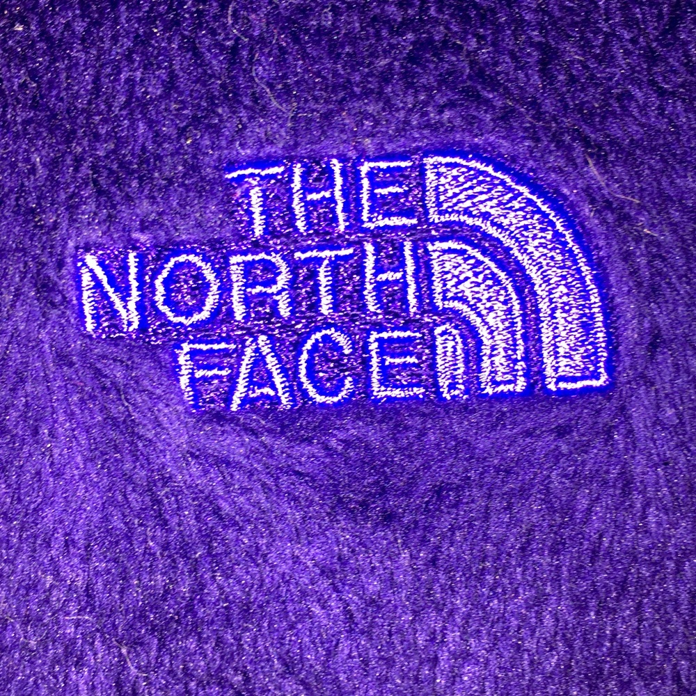 The north face purple winter jacket